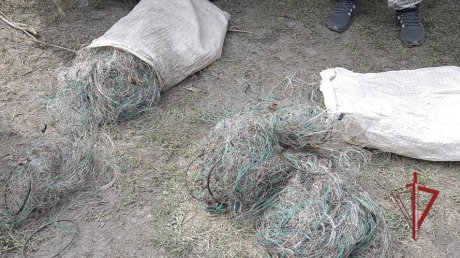 В Пензенской области рыбаков-нарушителей ищут с помощью БПЛА