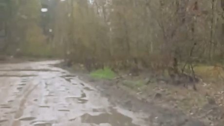 Подлесный и Новая Жизнь остаются без нормального доступа к М-5