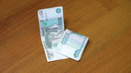 Юная жительница Пензы нарушила закон и получила 2 000 рублей