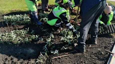 В Пензе высадили первые в этом сезоне цветы