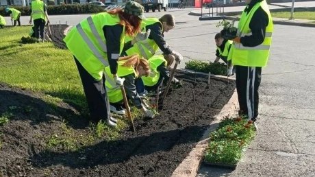 В Пензе высадили первые в этом сезоне цветы