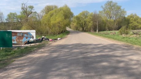 В Белинском районе мотоциклист врезался в мусорный бак и погиб