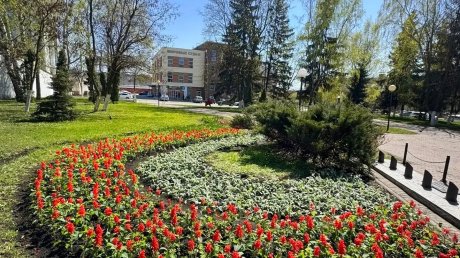 В Пензе коммунальщики активно высаживают цветы