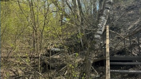Лестницу к Ласточкину озеру пообещали восстановить до лета