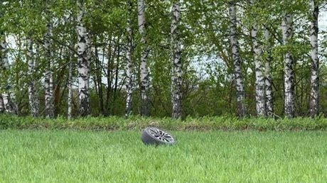 Появились новые кадры с места серьезной аварии в Пензенском районе