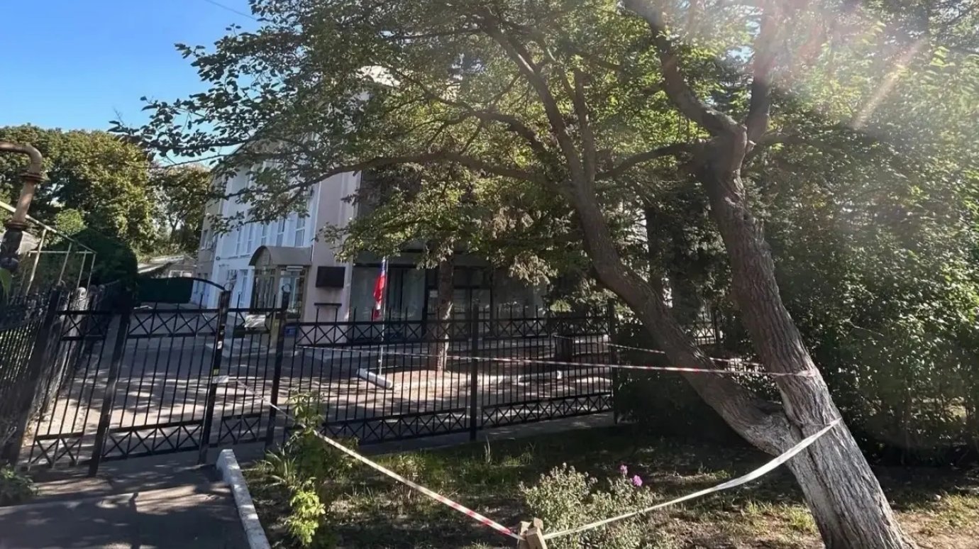 В ПГУ заявили, что шелковица угрожала безопасности студентов