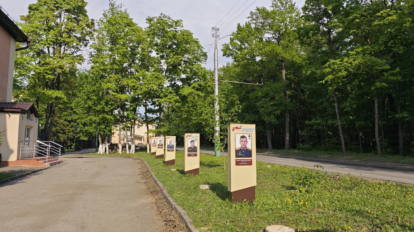 На Аллее памяти участников СВО в Пензе вырубили деревья