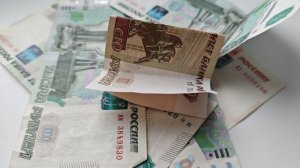 Жительница Белинского района предложила полицейскому 10 100 руб.