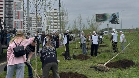 В Арбековской Заставе высадили 100 берез