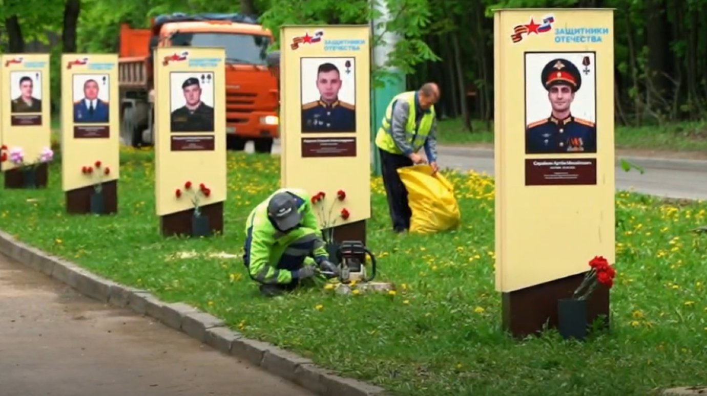 Ликвидацию деревьев на Аллее Памяти объяснили