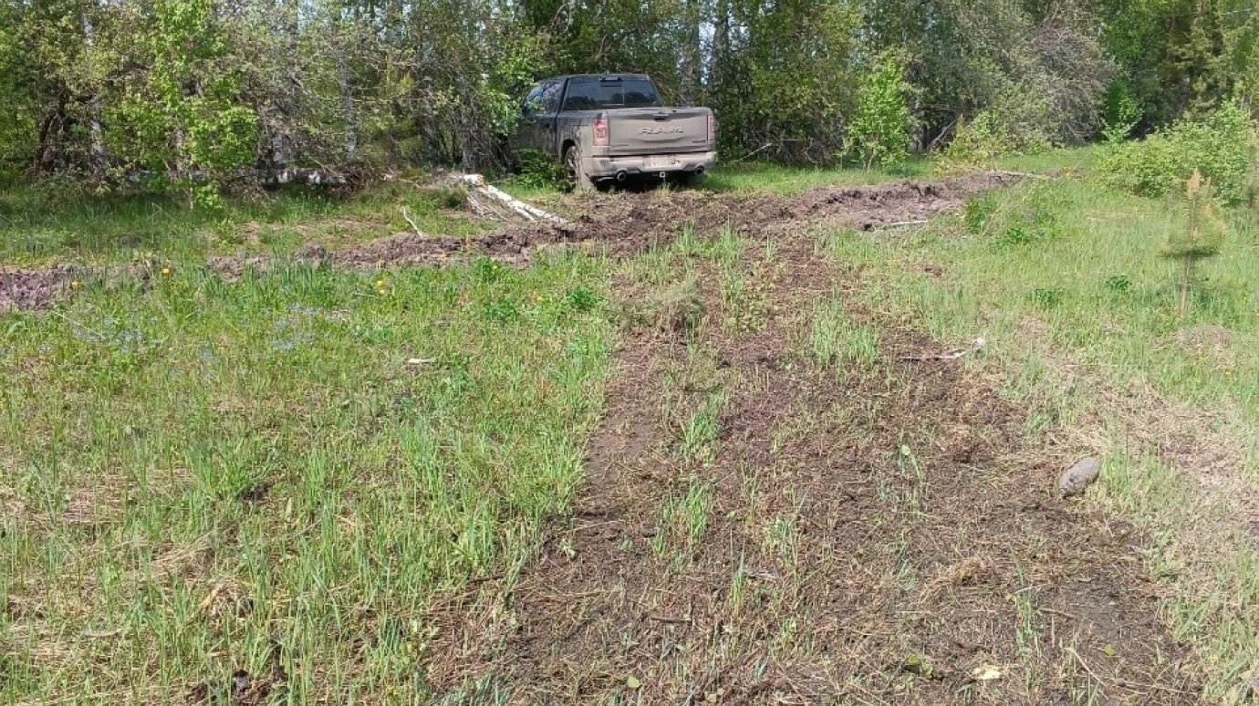 В ДТП в Никольском районе пострадали 2 человека