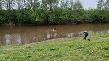 Спасатели обследовали еще 3 водоема в Пензенской области