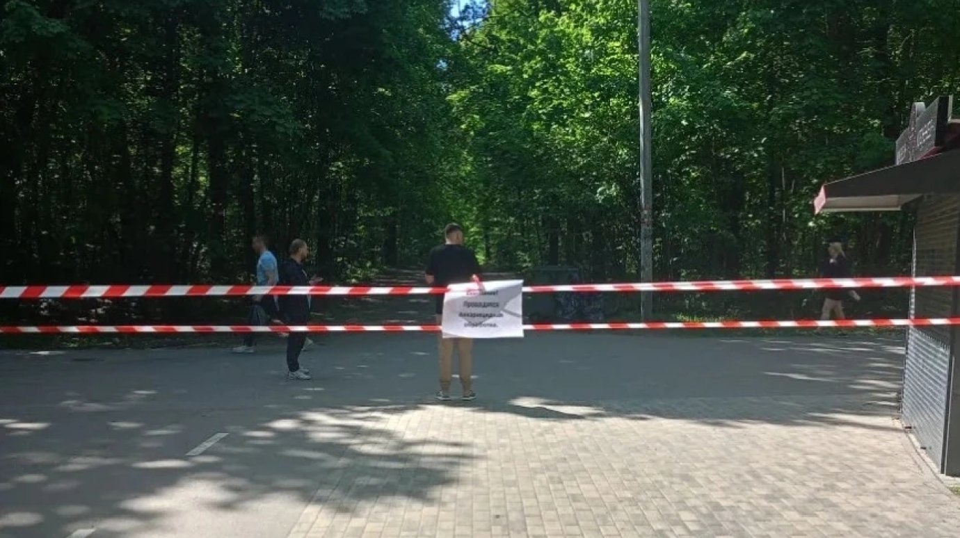 На Олимпийской аллее в Пензе борются с клещами