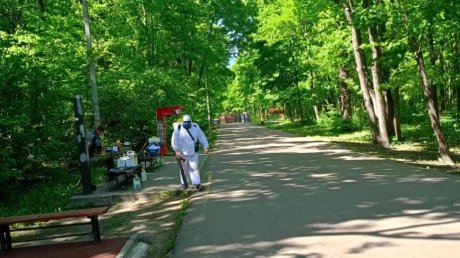 На Олимпийской аллее в Пензе борются с клещами