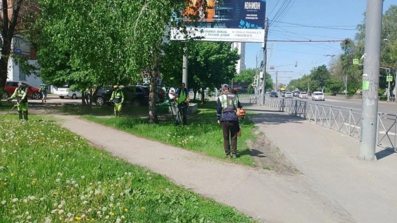 В управлении ЖКХ объяснили, зачем косят траву