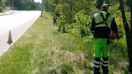 В управлении ЖКХ объяснили, зачем косят траву