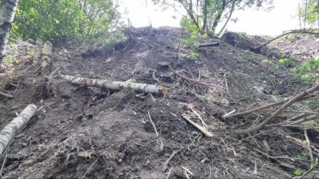Территорию около спуска к озеру на Ласточке намерены расчистить