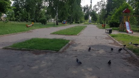 В сквере Дружбы осталась только одна лавочка