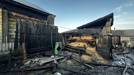 В Кузнецком районе сгорели дом и надворные постройки