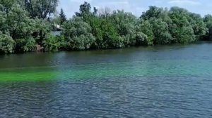 Ресурсники озадачили пензенцев окрашиванием воды в Суре