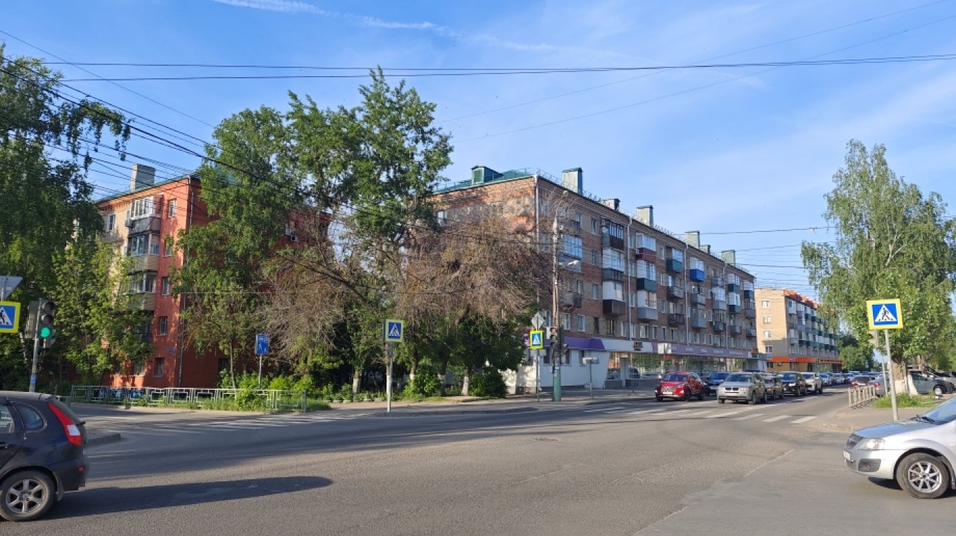 В Пензе погибшее дерево может упасть на дорогу к лицею № 55