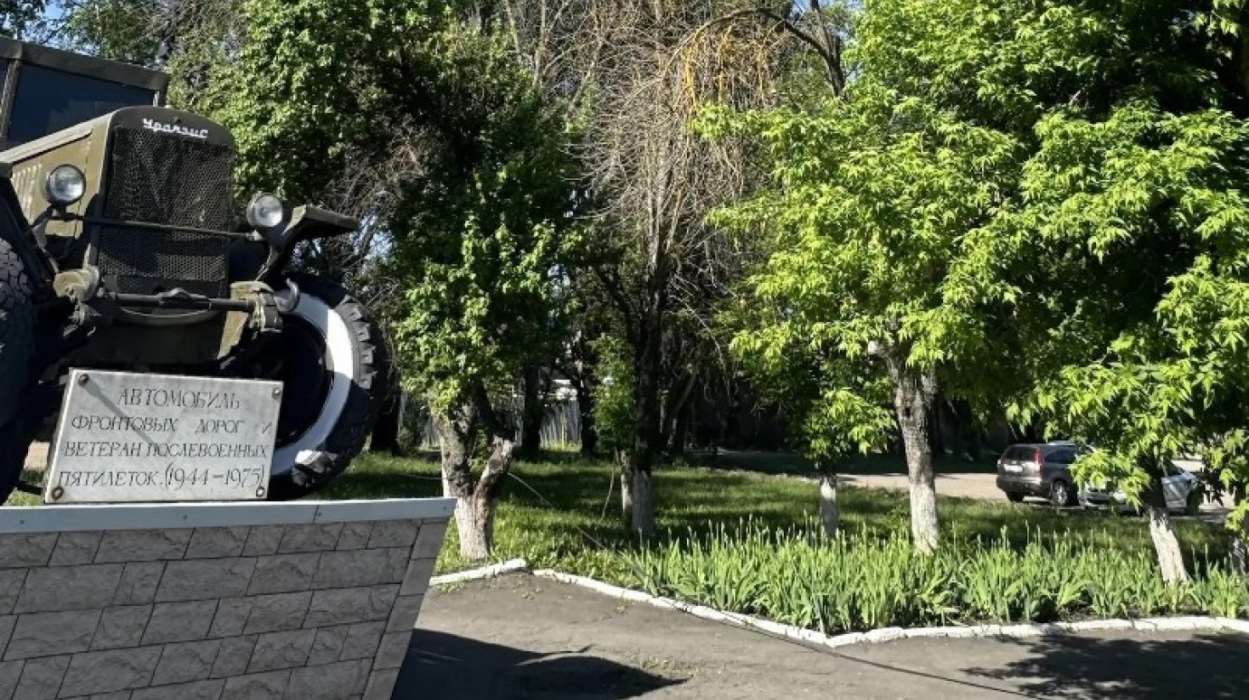 На улице Измайлова в Пензе вырубят пораженные деревья