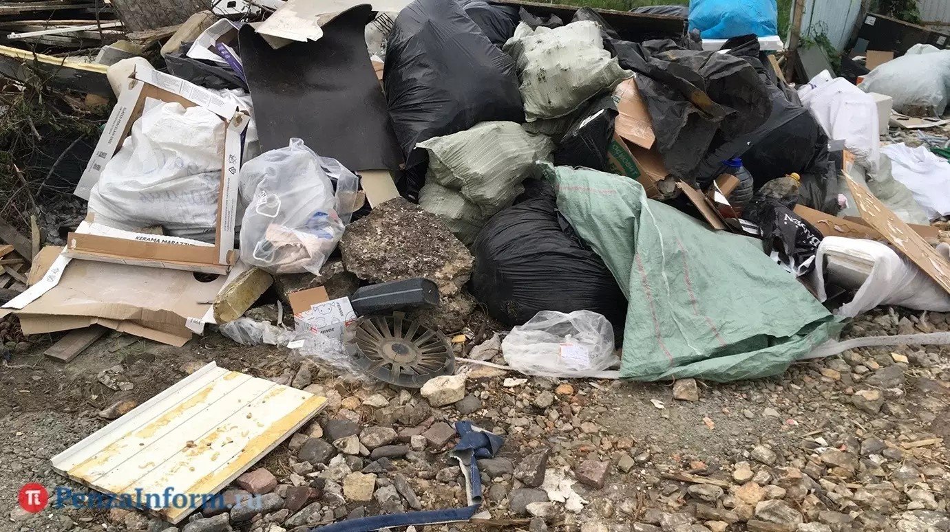 Дачникам напомнили о правилах выбрасывания мусора