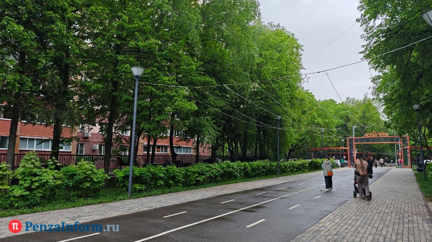 27 мая пензенцев ждет дождь с грозой и порывистым ветром
