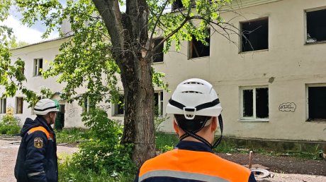 В Пензе вороны атаковали детсадовцев из-за выпавшего из гнезда птенца