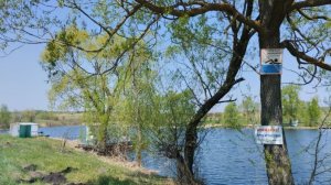 В Пензе разместили более 20 знаков «Купаться запрещено»