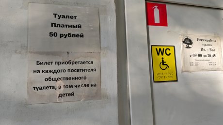 Пензенцы разделили возмущение депутатов платным туалетом в парке
