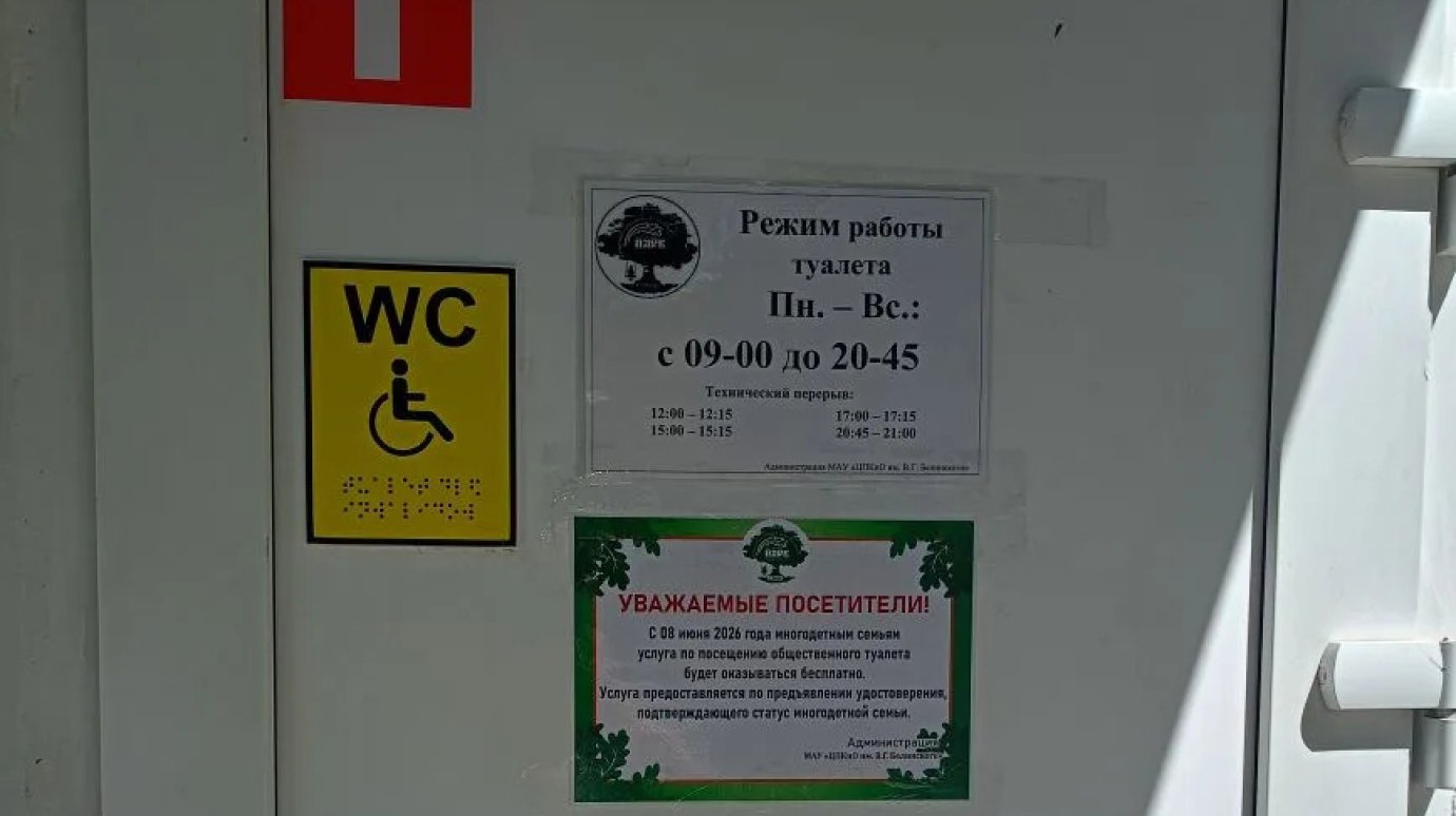 Туалет в парке Белинского сделают бесплатным для многодетных