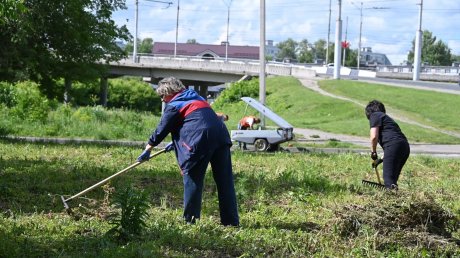 Глава Пензы лично покосил траву в сквере Студенческих Отрядов