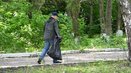 Глава Пензы лично покосил траву в сквере Студенческих Отрядов