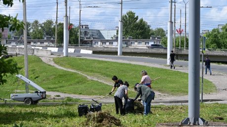Глава Пензы лично покосил траву в сквере Студенческих Отрядов