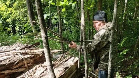 В Морозовском дендрарии вырубили 10 кубометров сухостоя