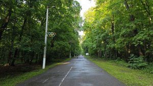 Пензенцев старше 45 лет приглашают на фестиваль скандинавской ходьбы