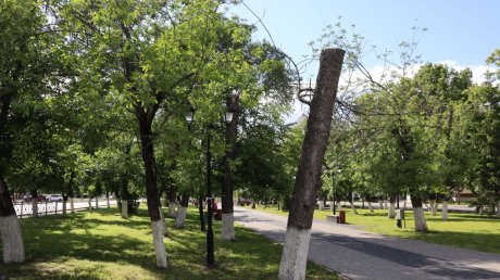 Сказочные персонажи не вернутся в сквер Пушкина