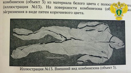 Пензенские оперативники накрыли нарколабораторию под Москвой