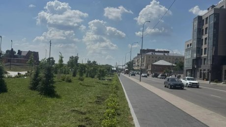 На набережной Суры высадили 363 гортензии