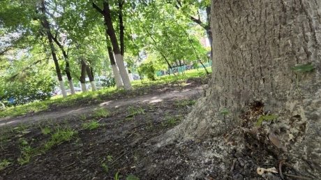 Пензенцы опасаются за судьбу сквера у «Электромеханики»