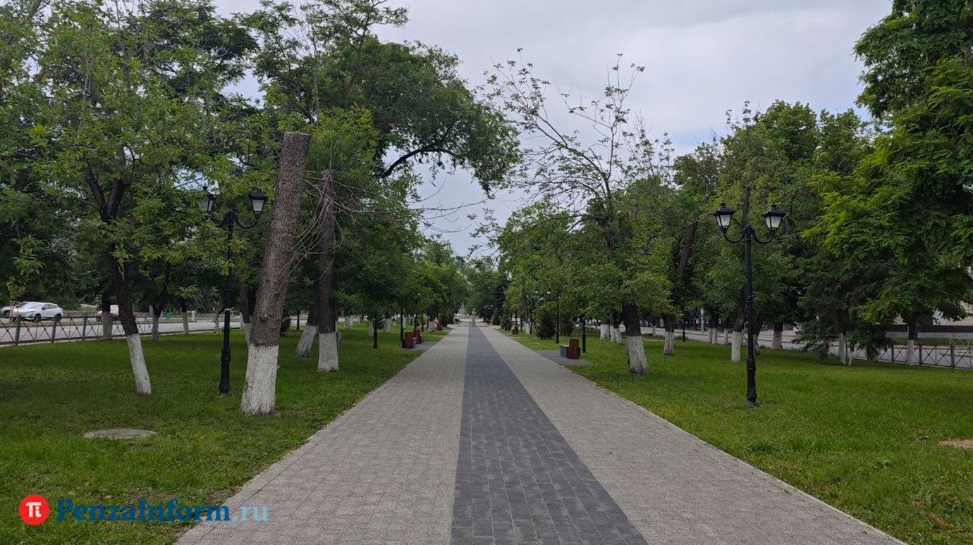 Жителей Пензенской области ждет дождливая неделя
