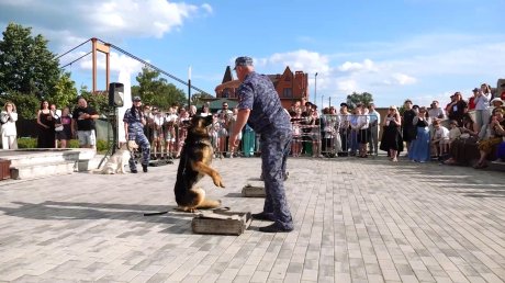 В Пензе прошла масштабная акция «День России с полицией России»