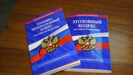 Молодая пензячка потратила деньги родителей и пошла на преступление