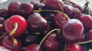 Ой, ягодка! Эксперт Плигузов раскрыл, чем может быть опасна черешня с рынка
