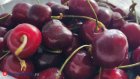 Ой, ягодка! Эксперт Плигузов раскрыл, чем может быть опасна черешня с рынка