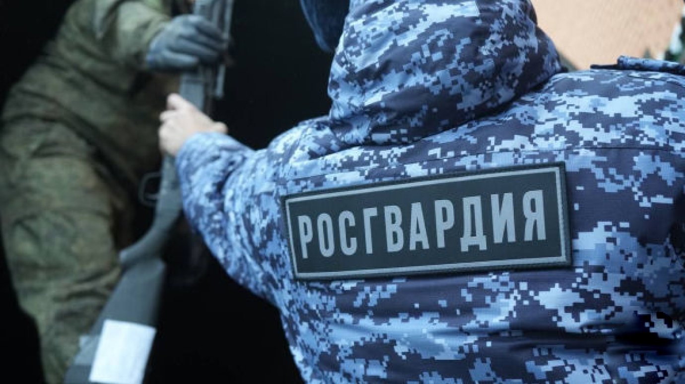 Пензенцы сдали еще 21 ружье для участников СВО