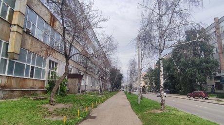 УЖКХ обратилось в полицию по поводу деревьев в сквере у «Электромеханики»