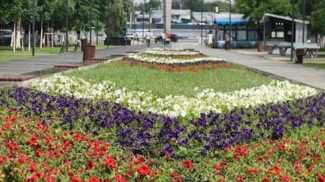 В Пензе высадили 30 видов растений и оформили 36 клумб