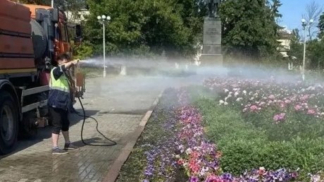В Пензе высадили 30 видов растений и оформили 36 клумб